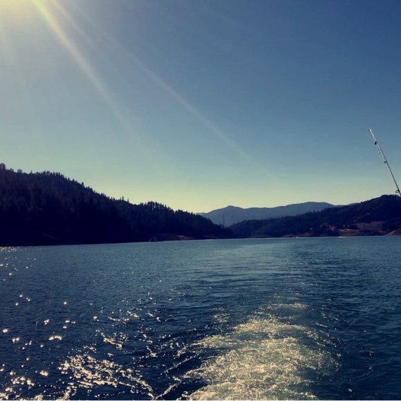 Meet your Posher, Caitlin - Picture 1 of 1